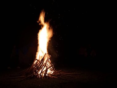 Gece kamp ateşi. Yazın vahşi doğayı keşfediyorum.