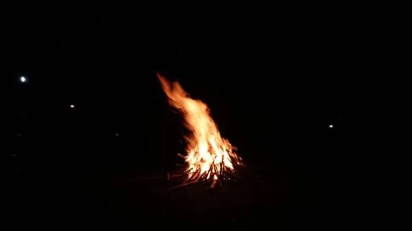 Gece Kamp Ateşi Yazın Vahşi Doğayı Keşfediyorum — Stok fotoğraf