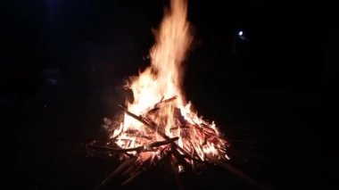 Gece kamp ateşi. Yazın vahşi doğayı keşfediyorum.