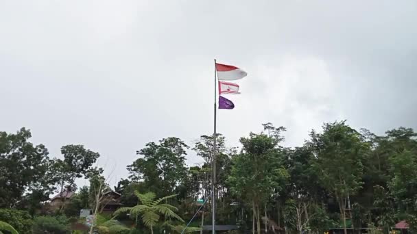 Flagga Indonesien Och Pojkscout Vinka Vinden Sky Bakgrund — Stockvideo