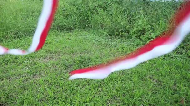 Ruban Volant Rouge Blanc Indonésie Fête Indépendance Concept Célébration — Video