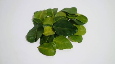Daun Jeruk Purut. Çorba, köri, pirinç, kızartma, patates kızartması ve salata da dahil olmak üzere aromatik Endonezya mutfağı için kullanılan kaffir kireç yaprakları. İzole edilmiş beyaz arkaplan