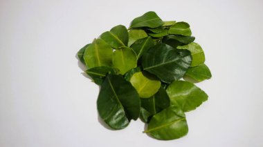 Daun Jeruk Purut. Çorba, köri, pirinç, kızartma, patates kızartması ve salata da dahil olmak üzere aromatik Endonezya mutfağı için kullanılan kaffir kireç yaprakları. İzole edilmiş beyaz arkaplan