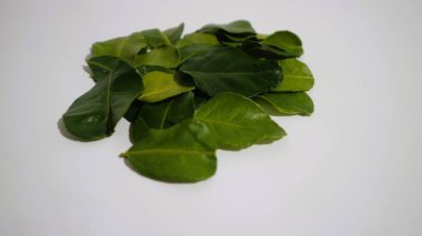 Daun Jeruk Purut. Çorba, köri, pirinç, kızartma, patates kızartması ve salata da dahil olmak üzere aromatik Endonezya mutfağı için kullanılan kaffir kireç yaprakları. İzole edilmiş beyaz arkaplan