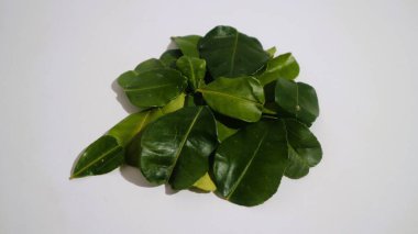 Daun Jeruk Purut. Çorba, köri, pirinç, kızartma, patates kızartması ve salata da dahil olmak üzere aromatik Endonezya mutfağı için kullanılan kaffir kireç yaprakları. İzole edilmiş beyaz arkaplan