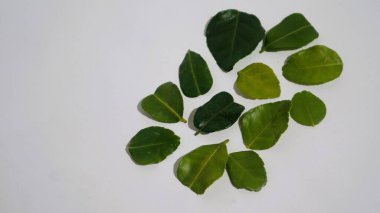 Daun Jeruk Purut. Çorba, köri, pirinç, kızartma, patates kızartması ve salata da dahil olmak üzere aromatik Endonezya mutfağı için kullanılan kaffir kireç yaprakları. İzole edilmiş beyaz arkaplan