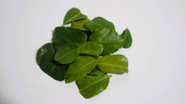 Daun Jeruk Purut. Çorba, köri, pirinç, kızartma, patates kızartması ve salata da dahil olmak üzere aromatik Endonezya mutfağı için kullanılan kaffir kireç yaprakları. İzole edilmiş beyaz arkaplan
