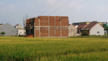 Pirinç tarlası ve kırsal kesimde inşaat geçmişi.