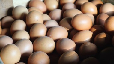 Minibüste satılık büyük miktarda yumurta birikmiş..