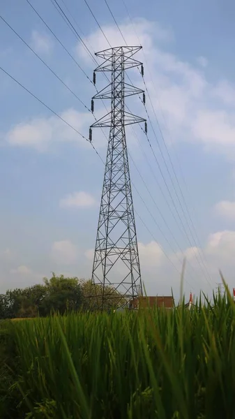 Electricity poles and electric power transmission lines against countryside with green rice field