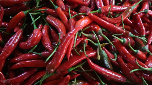 Stock image High angle view of large pile of red chilli