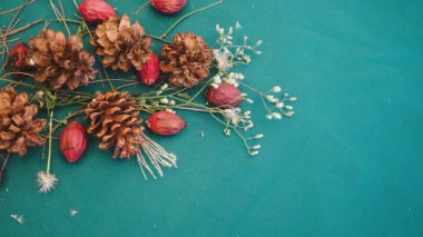 Yeşil arkaplanlı Noel çamı, kopyalama alanı