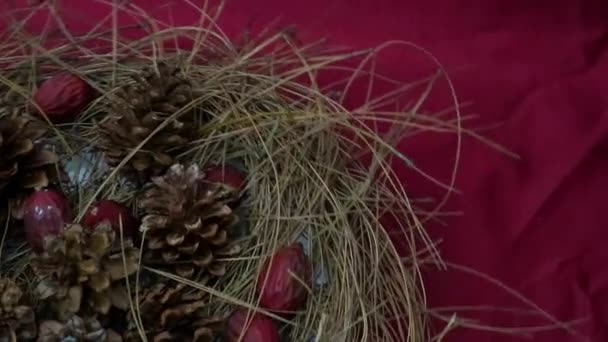 Kerst Achtergrond 360 Graden Rotatie Gedroogde Pijnboom Spinnen Rode Achtergrond — Stockvideo