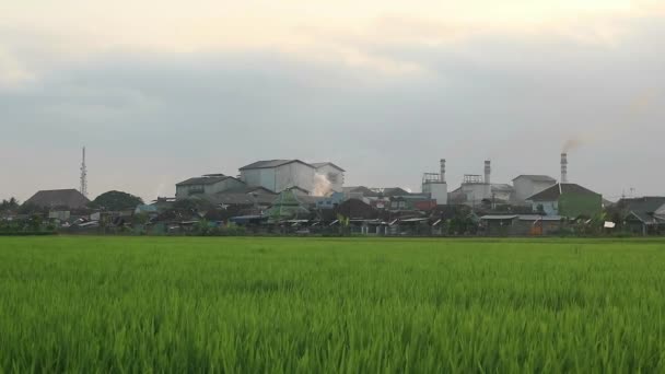 煙突の工場および環境汚染に対する緑地の成長 — ストック動画
