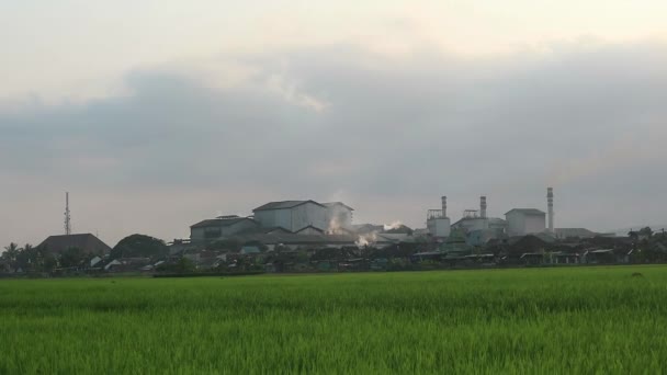 Cultiver Des Champs Verts Contre Pollution Industrielle Environnementale Des Cheminées — Video