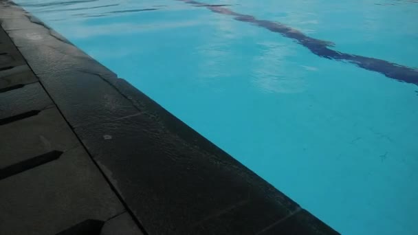 阳光明媚的时候 游泳池里有清澈的水 — 图库视频影像