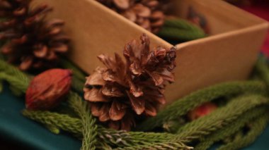 Noel arkaplanı. Çam yaprağı, kurumuş çam ağacı ve kırmızı arka planda dönen hediye kutusu. Yeni yıl hediyeleri, festival ve tatil alışverişi kavramı