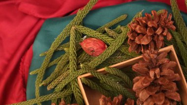 Noel arkaplanı. Çam yaprağı, kurumuş çam ağacı ve kırmızı arka planda dönen hediye kutusu. Yeni yıl hediyeleri, festival ve tatil alışverişi kavramı