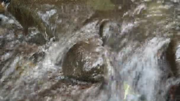 Agua Perder Fluye Través Río Con Piedras Diferentes Tamaños Río — Vídeo de stock