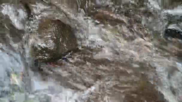 Втрачена Вода Тече Через Річку Різними Каменями Ній Скеляста Річка — стокове відео