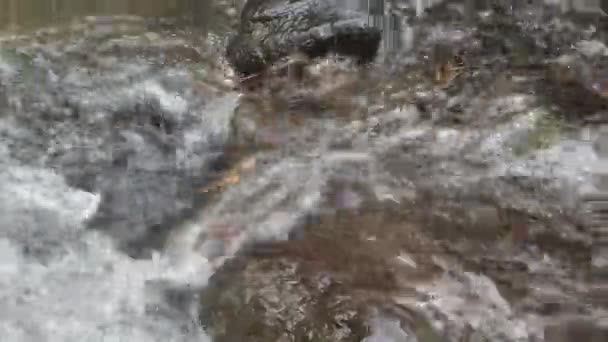 Lose Water Flows River Different Sized Stones Rocky River — Stock Video