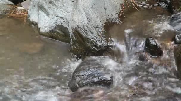Ztracená Voda Teče Řekou Různými Kameny Skalnatá Řeka — Stock video
