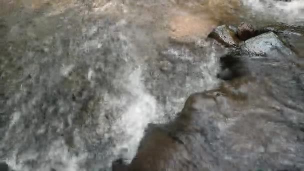 Água Perde Flui Através Rio Com Pedras Diferentes Tamanhos Nele — Vídeo de Stock