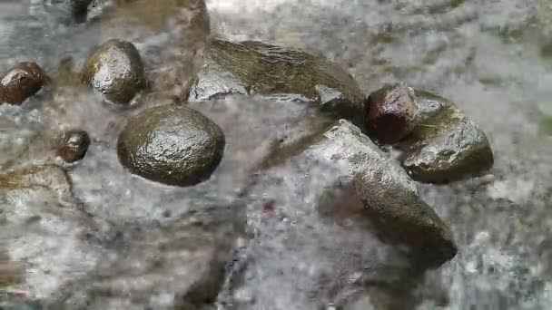 Lose Water Stroomt Door Een Rivier Met Verschillende Grootte Stenen — Stockvideo