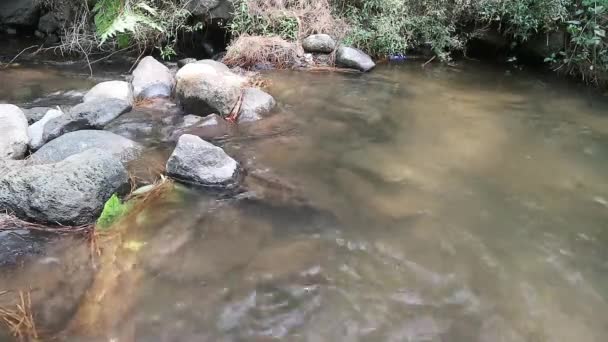 Ztracená Voda Teče Řekou Různými Kameny Skalnatá Řeka — Stock video