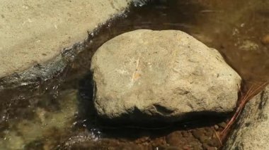Kaybedilen su, farklı büyüklükteki taşlarla dolu bir nehirden akar. Kayalık nehir.