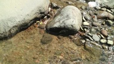 Kaybedilen su, farklı büyüklükteki taşlarla dolu bir nehirden akar. Kayalık nehir.
