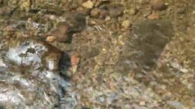 Kaybedilen su, farklı büyüklükteki taşlarla dolu bir nehirden akar. Kayalık nehir.