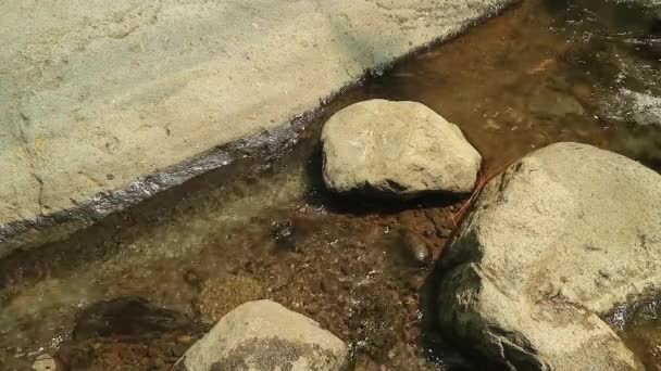 河水流过一条有不同大小石子的河流 — 图库视频影像