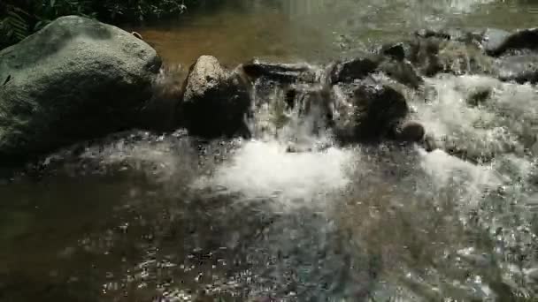 Agua Perder Fluye Través Río Con Piedras Diferentes Tamaños Río — Vídeo de stock
