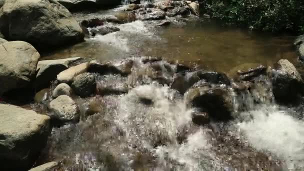 Przez Rzekę Przepływa Woda Różnej Wielkości Kamienie Skalista Rzeka — Wideo stockowe
