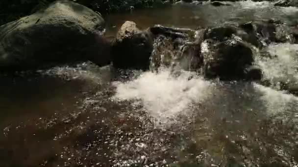 Kaybedilen Farklı Büyüklükteki Taşlarla Dolu Bir Nehirden Akar Kayalık Nehir — Stok video