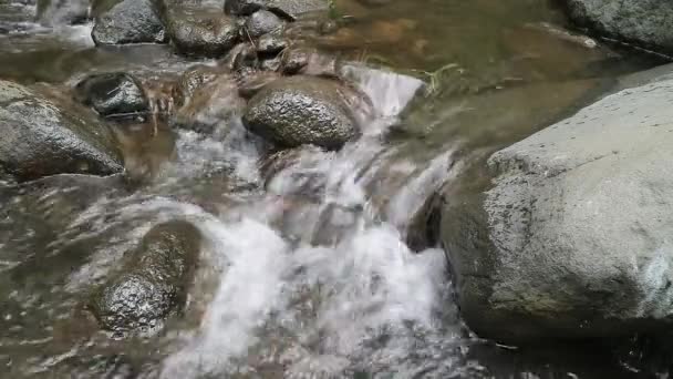 Lost Νερό Ρέει Μέσα Από Ένα Ποτάμι Διαφορετικές Πέτρες Μεγέθους — Αρχείο Βίντεο