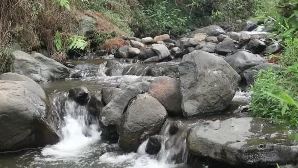 Потеря Воды Течет Через Реку Камнями Разного Размера Ней Скалистая — стоковое видео