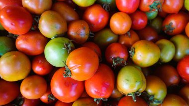 Üst görünüm olgun domatesler kabın içinde