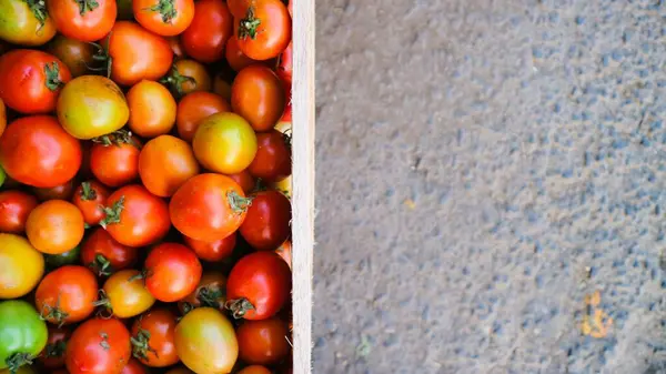 Üst görünüm olgun domatesler kabın içinde