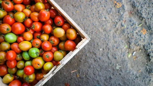 Üst görünüm olgun domatesler kabın içinde