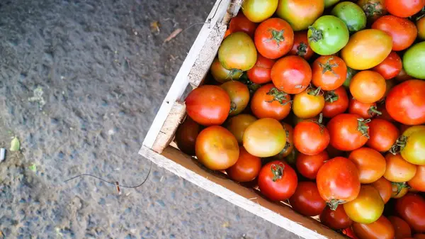 Üst görünüm olgun domatesler kabın içinde