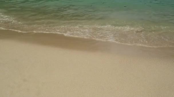 Nagranie Małych Fal Pluskających Się Piaszczystej Plaży Kamyczkami — Wideo stockowe
