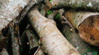 Dokulu arkaplan için ormanın görünümünü kapat, boşluğu kopyala
