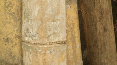 Bambu yığınının yakın görünümü, desenli arkaplan