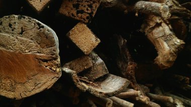 Dokulu arkaplan için ormanın görünümünü kapat, boşluğu kopyala