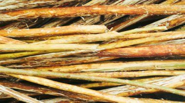 Dokulu arkaplan için ormanın görünümünü kapat, boşluğu kopyala