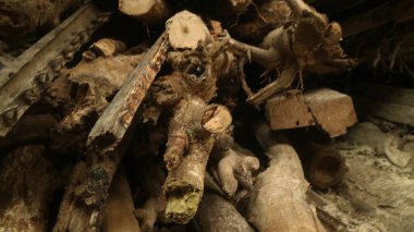 Dokulu arkaplan için ormanın görünümünü kapat, boşluğu kopyala