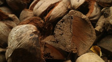 Kuru hindistan cevizi kabuklarını kapat, koyu renklendirilmiş arkaplan