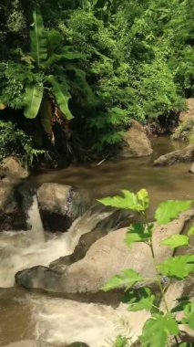 Kayalık bir nehirde akan su, iyileşmek için tatlı su manzarası.